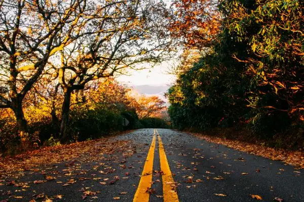 entretenir velo route automne